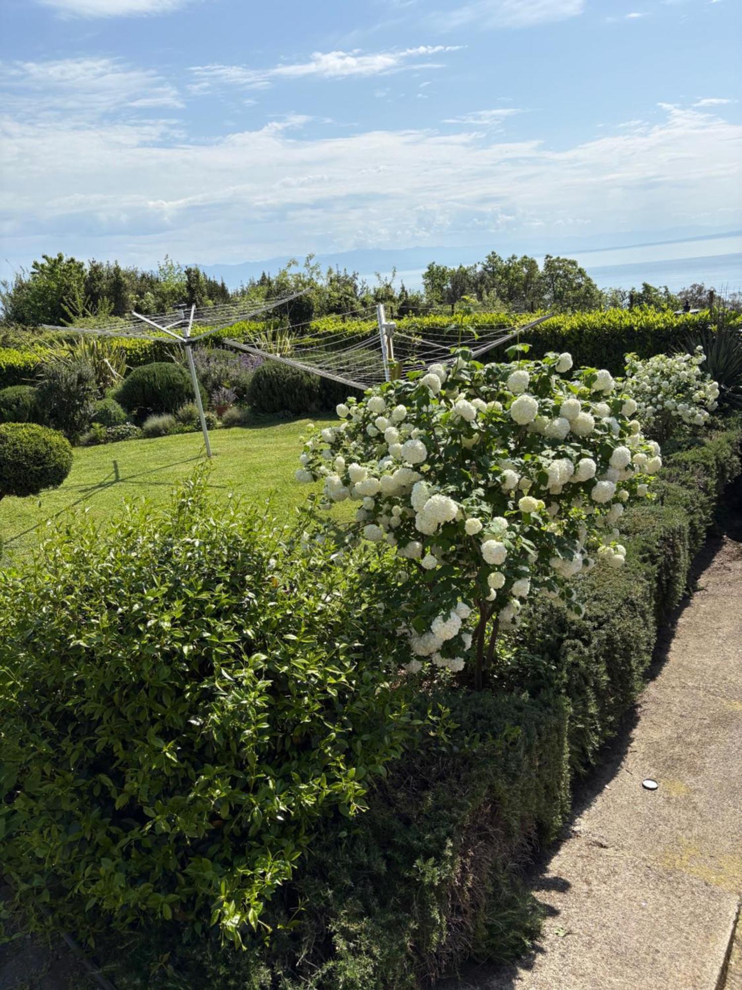 Bed And Breakfast Villa Iris Mošćenička Draga Екстериор снимка
